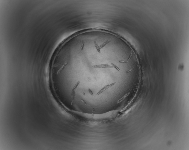 X0000103131032200808291311