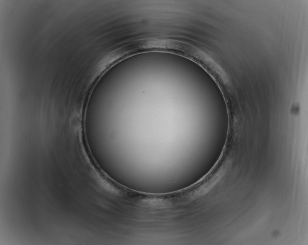 X0000103131033200808291311