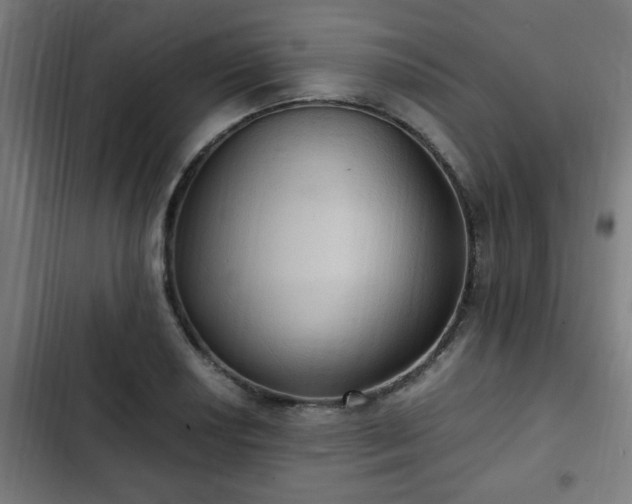 X0000103131034200808291311