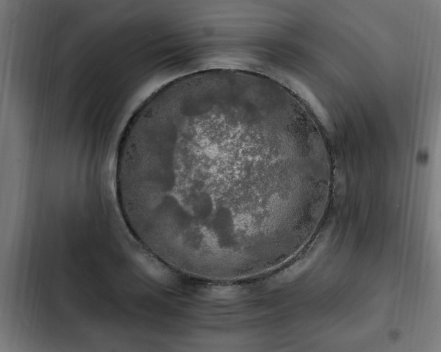 X0000103131035200808291311