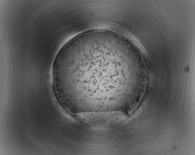 X0000103131036200808291311