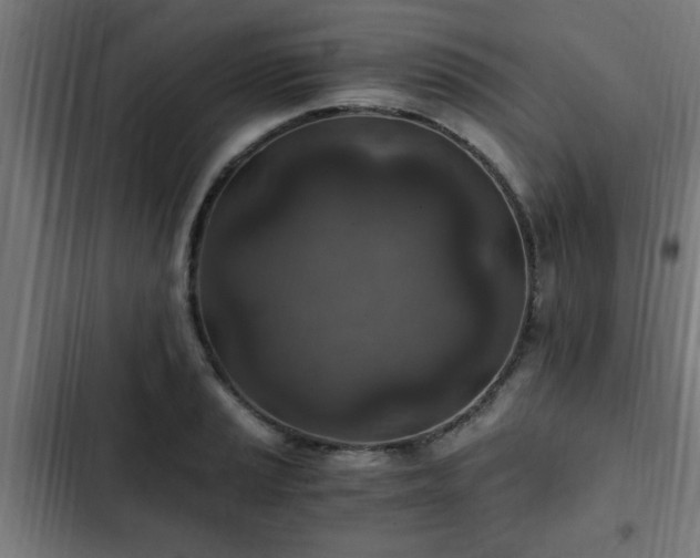X0000103131037200808291311