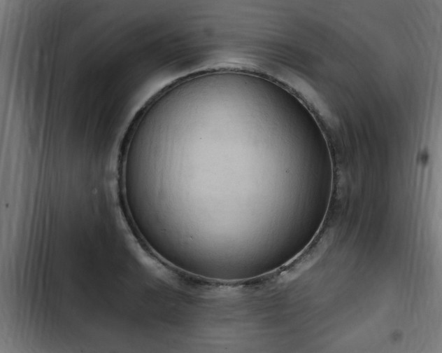 X0000103131038200808291311