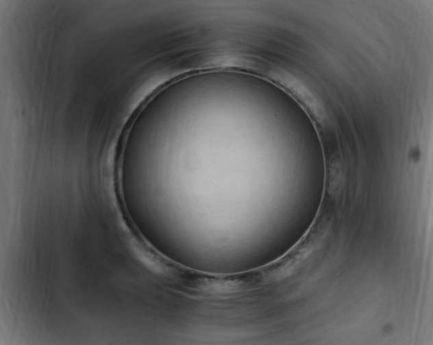 X0000103131039200808291311