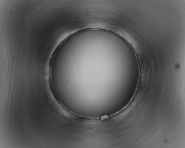 X0000103131040200808291311