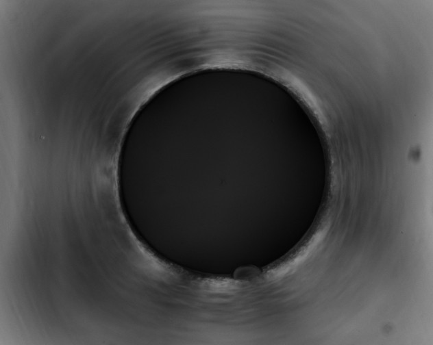 X0000103131041200808291311