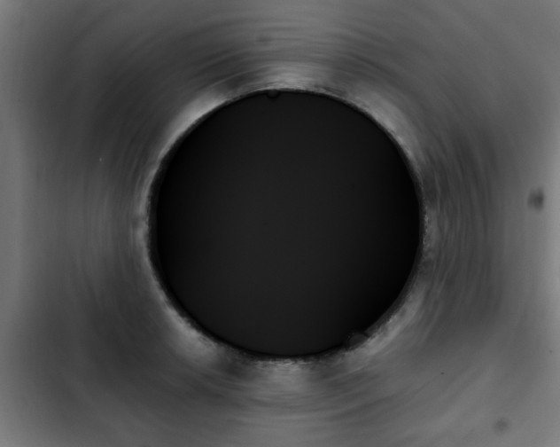 X0000103131042200808291311