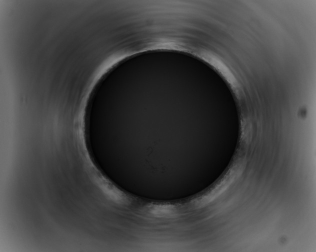 X0000103131043200808291311