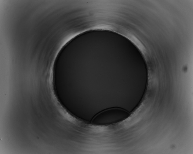 X0000103131044200808291311