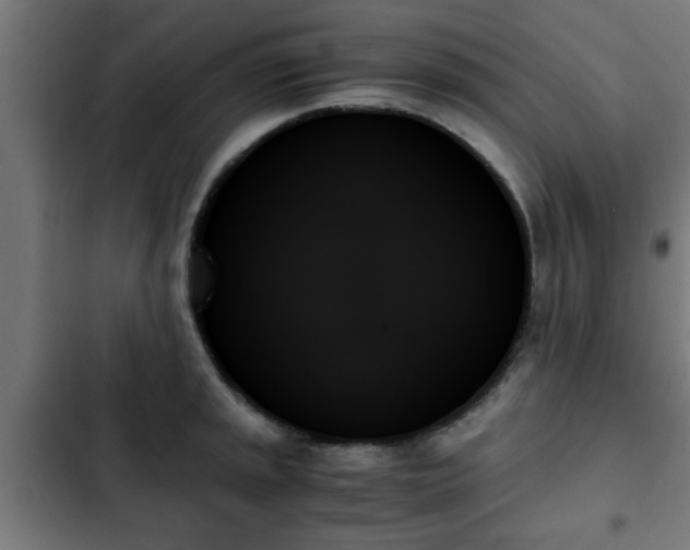 X0000103131045200808291311