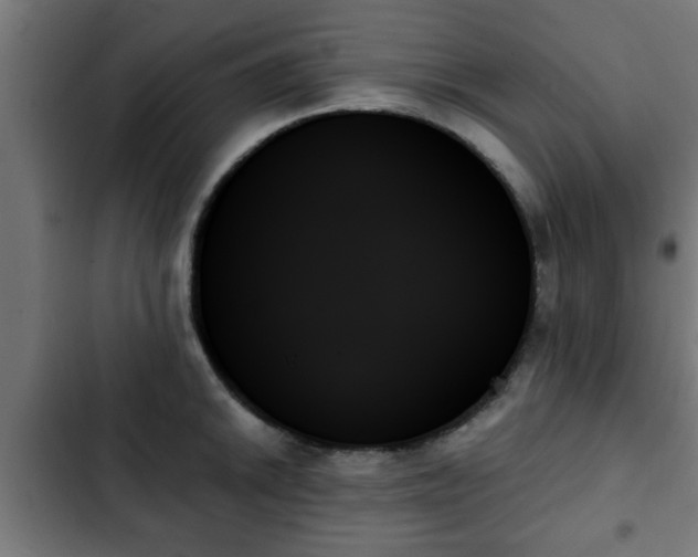 X0000103131046200808291311