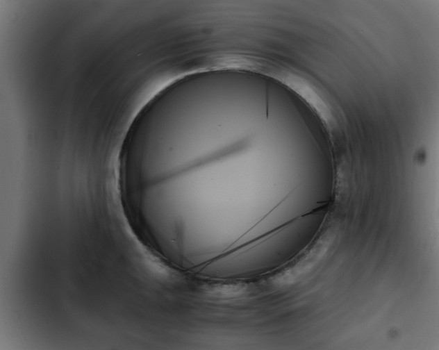 X0000103131047200808291311