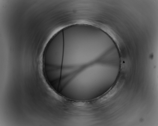 X0000103131048200808291311