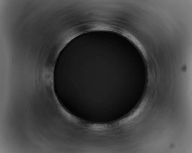 X0000103131049200808291311