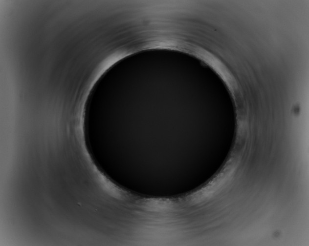 X0000103131050200808291311