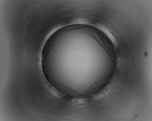 X0000103131051200808291311