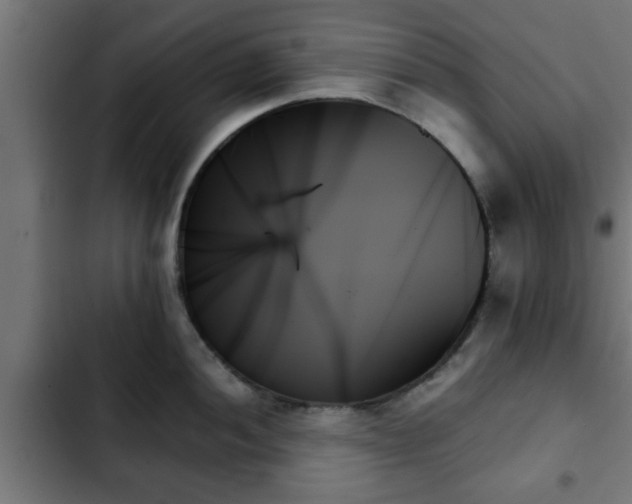 X0000103131052200808291311
