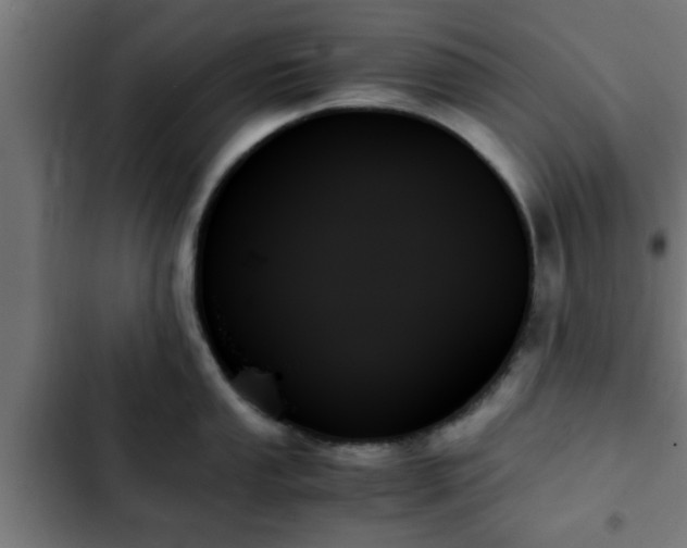X0000103131053200808291312