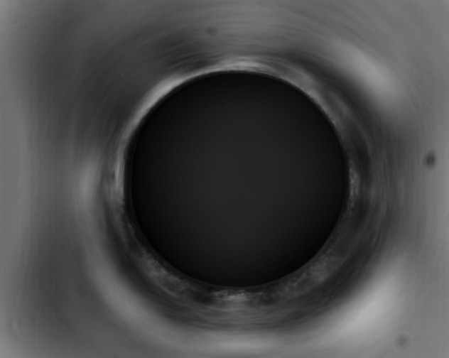 X0000103131054200808291312