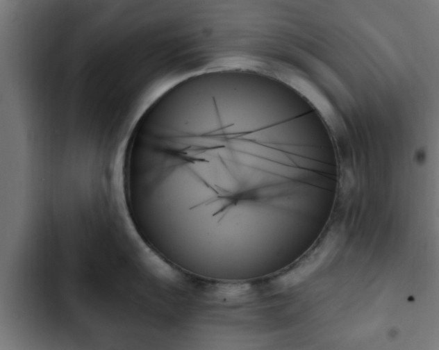 X0000103131055200808291312