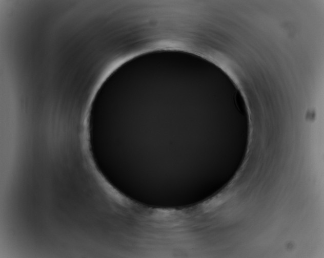 X0000103131056200808291312