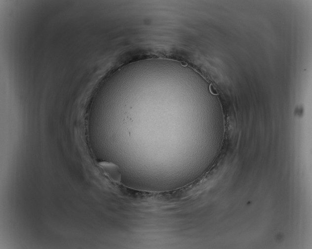 X0000103131057200808291311