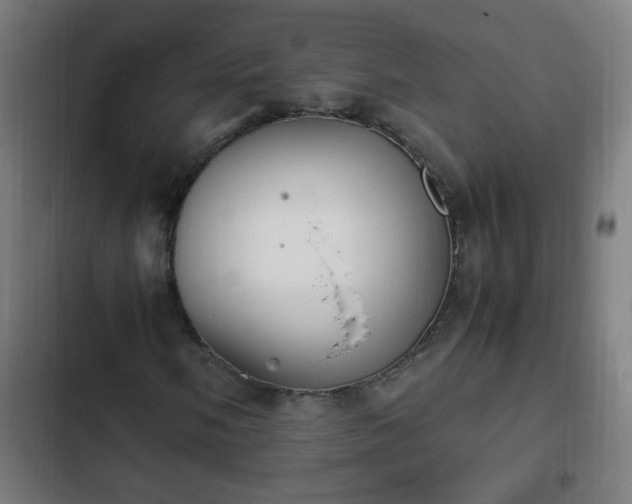 X0000103131058200808291311