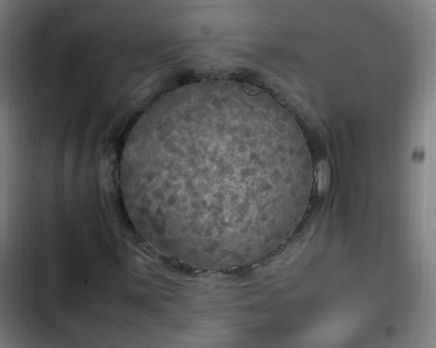 X0000103131059200808291311