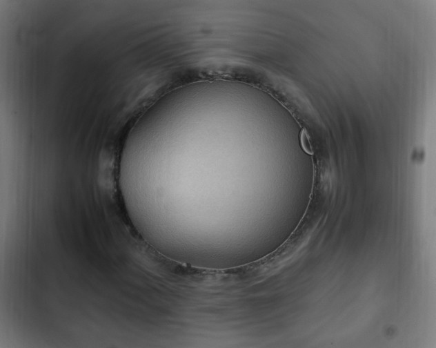 X0000103131060200808291311