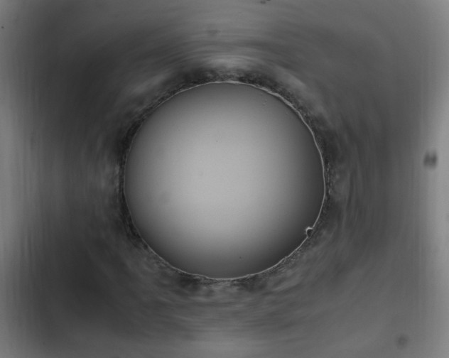 X0000103131061200808291311