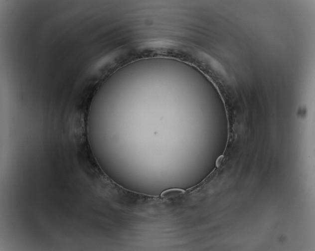 X0000103131062200808291311