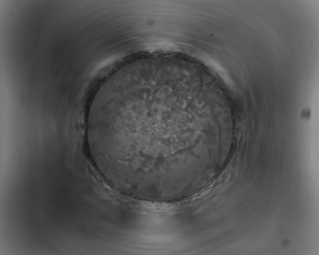 X0000103131063200808291311