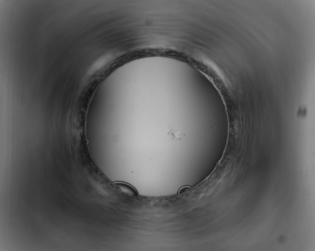 X0000103131064200808291311