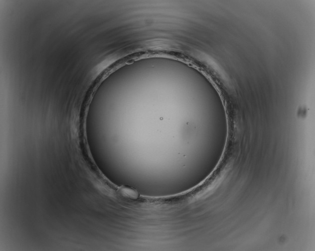 X0000103131065200808291311