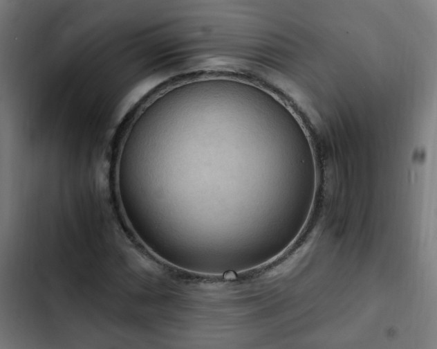 X0000103131066200808291311