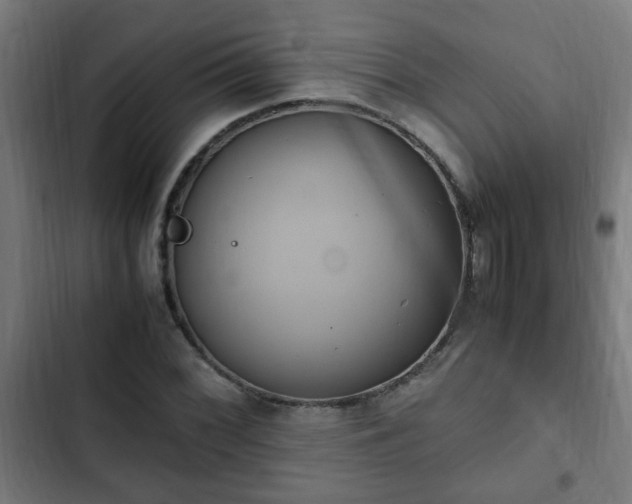 X0000103131068200808291311