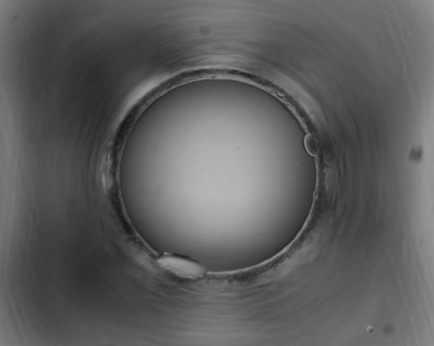 X0000103131069200808291311