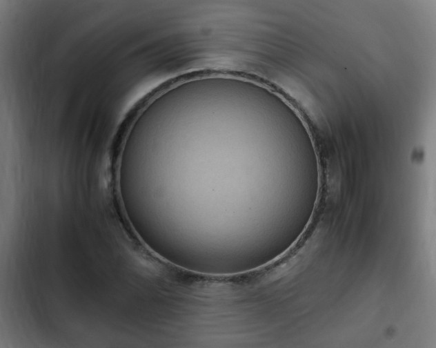 X0000103131070200808291311