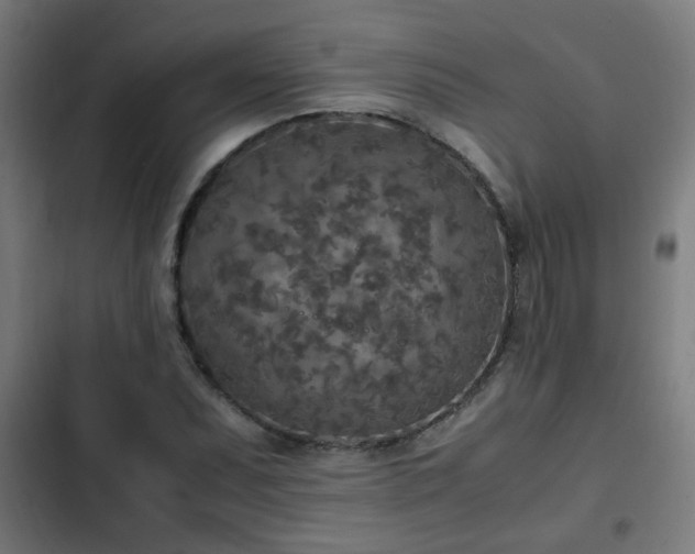 X0000103131071200808291311