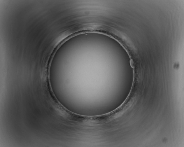 X0000103131073200808291311