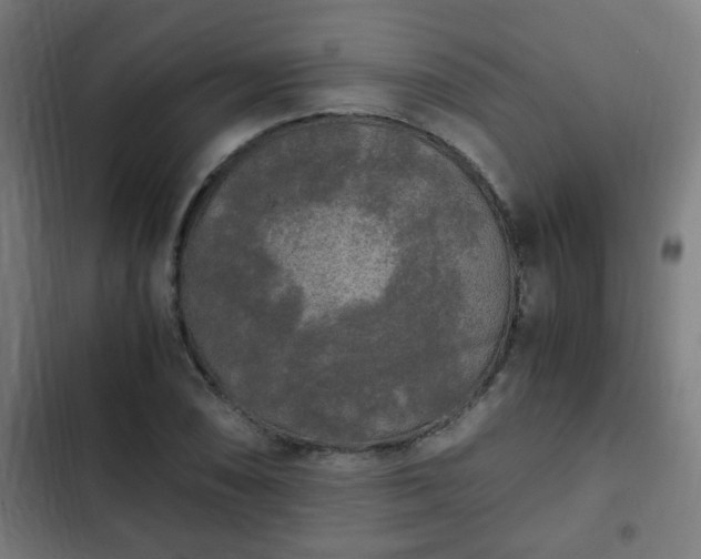 X0000103131074200808291311