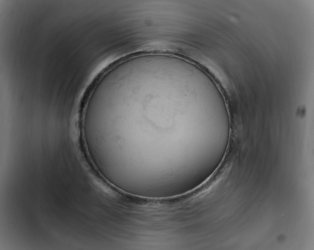X0000103131075200808291311