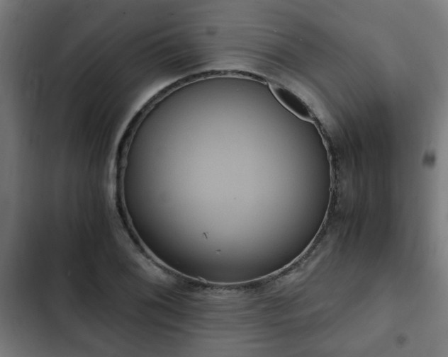 X0000103131076200808291311