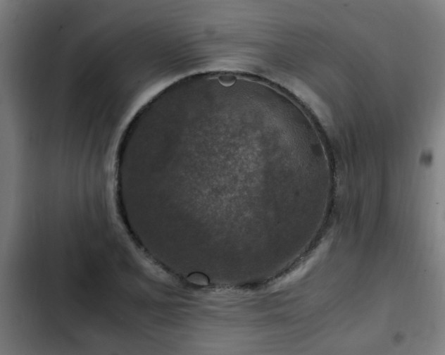 X0000103131077200808291311