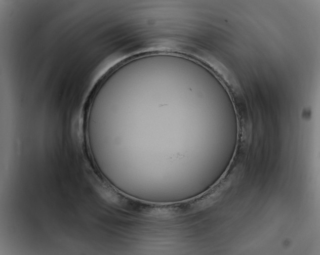 X0000103131078200808291311