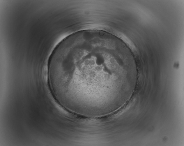 X0000103131079200808291311