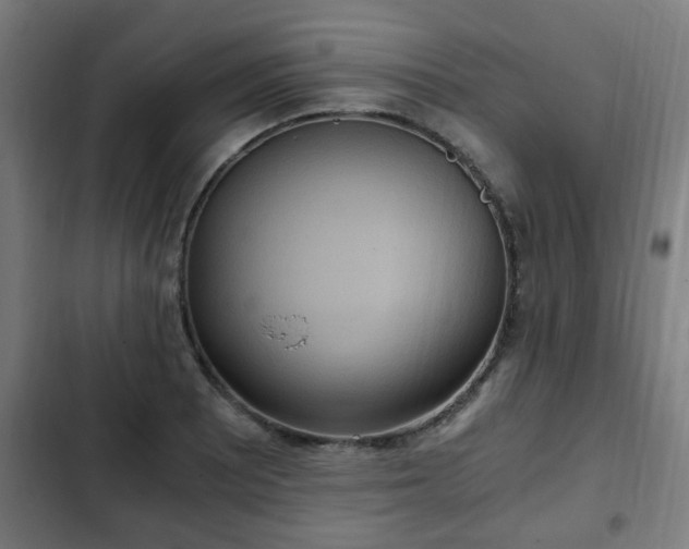X0000103131081200808291311
