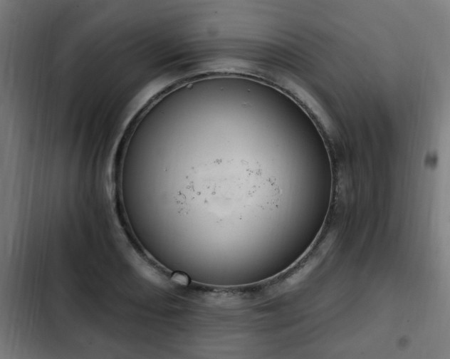 X0000103131082200808291311