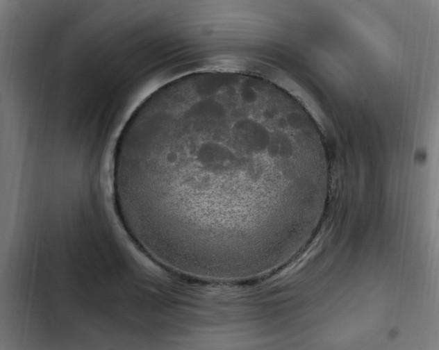 X0000103131083200808291311