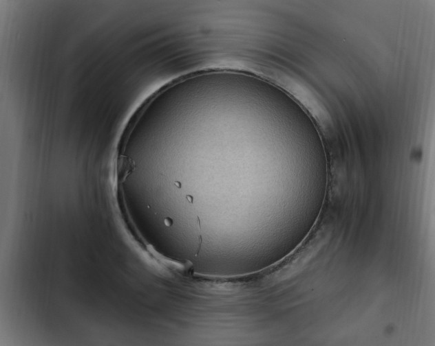 X0000103131084200808291311